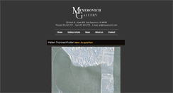 Desktop Screenshot of meyerovich.com